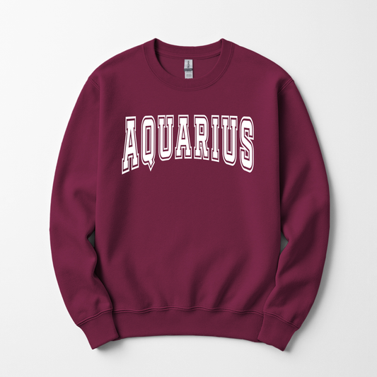 Unisex Zodiac Crews | Astrology Sign Crewnecks by Say Something