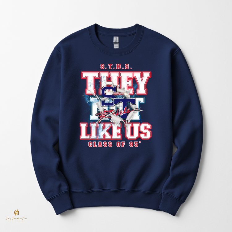 STHS Class of 1995 “They Not Like Us” Reunion Apparel – Tee, Crewneck, or Hoodie