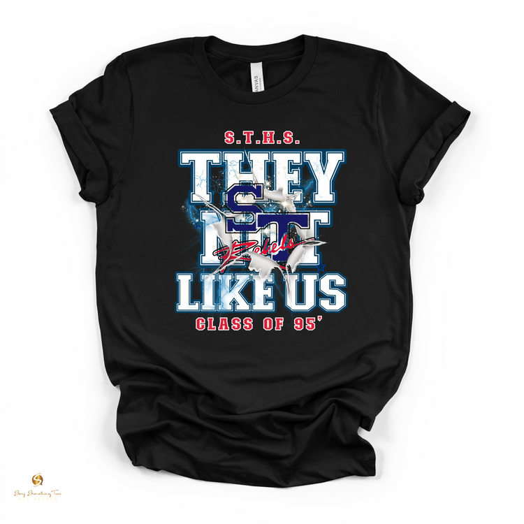 STHS Class of 1995 “They Not Like Us” Reunion Apparel – Tee, Crewneck, or Hoodie